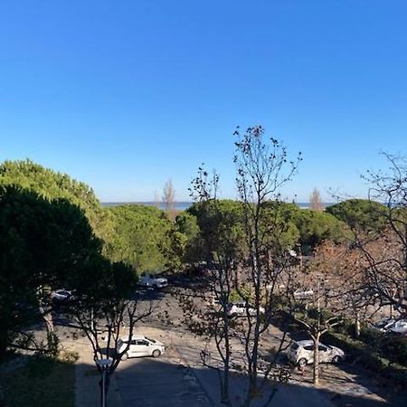 Charmant Studio Refait A Neuf Carnon Port 34 Могио Экстерьер фото
